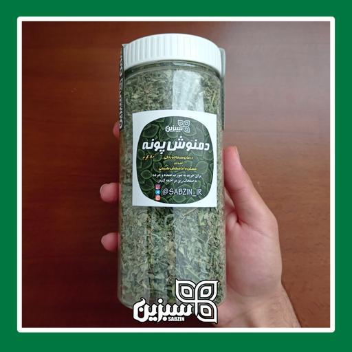 دمنوش پونه اعلا سبزین با بهترین عطر و بهترین بسته بندی (80 گرمی)